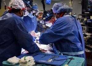 В США впервые успешно пересадили человеку сердце свиньи