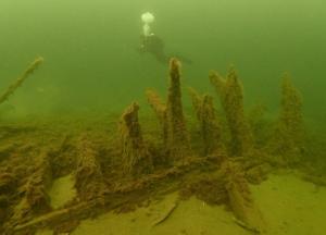 Ученые обнаружили затонувший корабль XV века (фото)