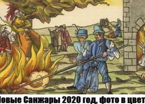 Появились новые фотожабы и карикатуры на протесты в Новых Санжарах (фото)