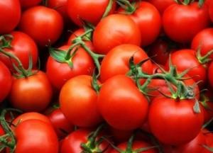 В Узбекистане выращивают помидоры с вакциной от COVID