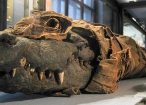 Ученые раскрыли загадку необычной египетской мумии