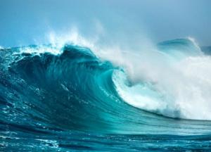 Мировой океан можно восстановить за 30 лет