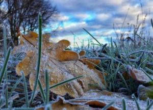 Синоптик предупредила, где в Украине ударит мороз