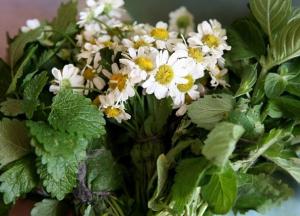 Врачи рассказали, как избавиться от боли в желудке в домашних условиях