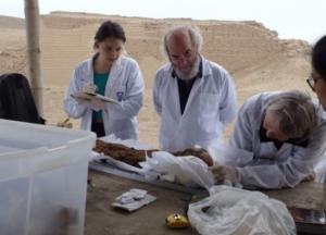 В Перу в местах захоронений мумий нашли странные предметы (фото)