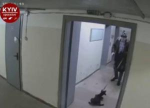 В Киеве неадекват зверски избил щенка и выбросил его на мороз