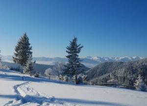 Погода на зимних курортах: готовимся к ежедневным снегопадам 
