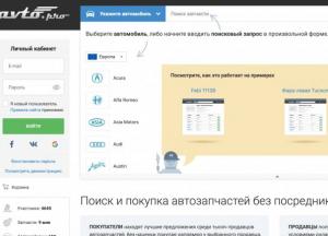 Онлайн продажа и формирование цен на автозапчасти