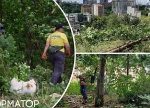 Волонтери перетворили занедбану Замкову гору в Києві на нову туристичну локацію