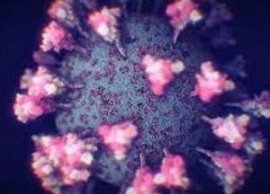 Инфекционист назвал особенности симптомов штамма "Дельта"