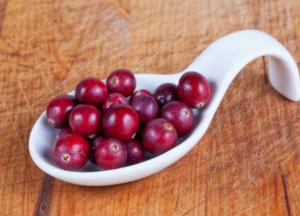 Медики рассказали о пользе клюквы для здоровья