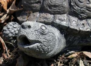 Археологи обнаружили необычную статую черепахи 