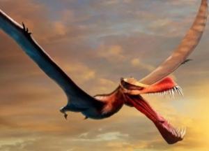 В Австралии нашли кости древней летающей рептилии