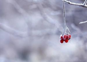 Украинцев ожидает резкая смена погоды