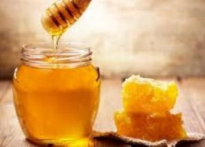 Названы полезные свойства разных видов меда