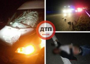 На трассе Киев-Одесса погиб мужчина 