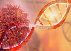 Врач развеяла самые нелепые мифы об онкологии