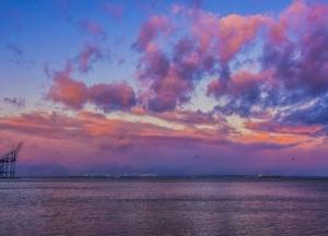 Экологи выяснили, как изменилось Черное море за 30 лет