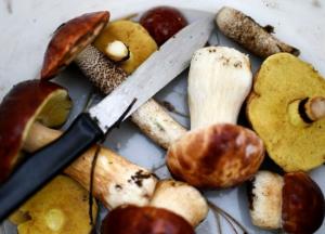 Медики рассказали о пользе грибов для здоровья