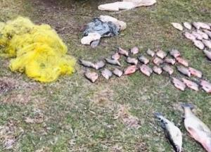 На Буковине задержали браконьеров с редким уловом (видео)