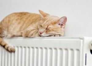 Дощі накриють більшість областей України, а особливо - Одещину: прогноз на тиждень