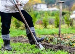 Ученые рассказали об эффективном способе снизить риск инсульта 