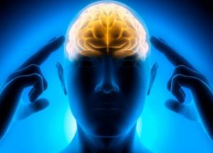 Медики рассказали, как улучшить работу мозга без лекарств