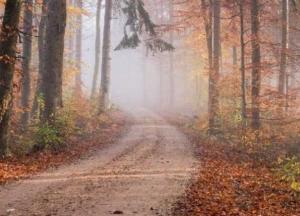 Прогноз погоды на 5 октября: в Украине сухо и порывистый ветер