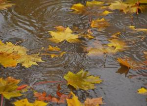 Прогноз погоды на 8 ноября: пока без изменений, но потепление приближается (карта)