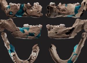 Ученые нашли загадочные останки древнего человека 