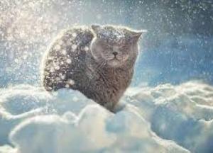 Прогноз погоды на 7 февраля: местами будет снежить