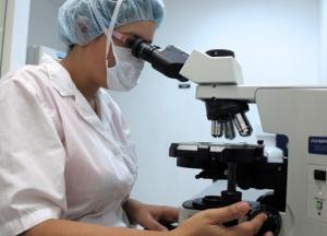 Открытие о сперматозоидах развеяло 350-летний миф