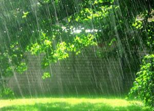 Прогноз погоды на 11 июля: облачно, дожди и прохлада