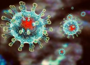 Нова пандемія Х буде викликана мавпʼячою віспою: доктор Жиравецький назвав терміни