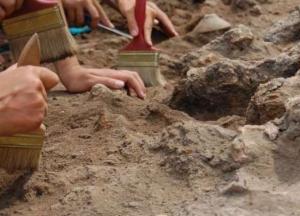В Австралии обнаружили окаменевшие останки предка всех обитателей Земли (фото)
