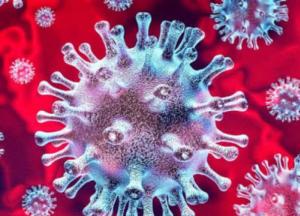 Ученые заявили, что коронавирус живет на пластике и стали до 2-3 дней