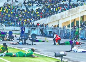 Обезумевший рой пчел уложил на газон футбольные команды (видео)