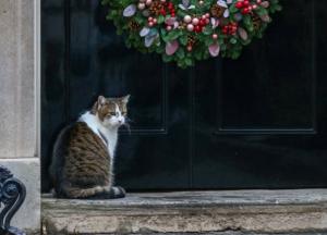 Прогноз погоды на 17 декабря: всю территорию Украины накроет туман