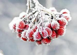 Крижаний удар: у Києві навалить снігу та вдарять морози