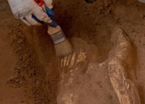 Ученые обнаружили 1000-летнюю могилу славянской валькирии