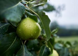 Прогноз погоды на 2 сентября: западные регионы будут страдать от ливней