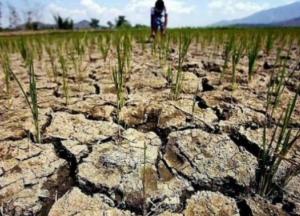 Метеорологи прогнозируют, что Украина может превратиться в пустыню с тропическими ливнями