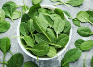 Ученые рассказали об опасности употребления шпината