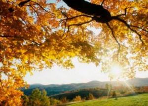 Прогноз погоды на 8 сентября: в центре и на севере дожди