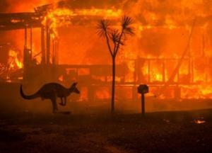 Австралия отказалась от помощи Украины в тушении лесных пожаров