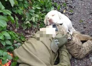 У Боярці знайшли мертвим чоловіка у військовій формі, від тіла ні на крок не відходив білий Лабрадор