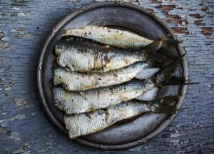 Сардины могут спасти от сахарного диабета - ученые