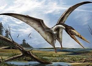 Ученые разгадали тайну останков животного, жившего 100 млн лет назад (фото)
