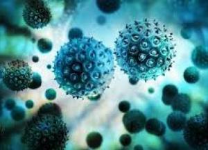 Ученые обнаружили новый неизвестный вирус