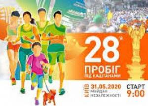 «Пробег под каштанами» 2020: на старт выйдут дети, которые учатся ходить, и собаки